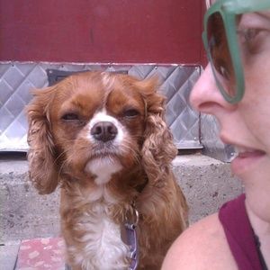 Meet your Posher, Marti